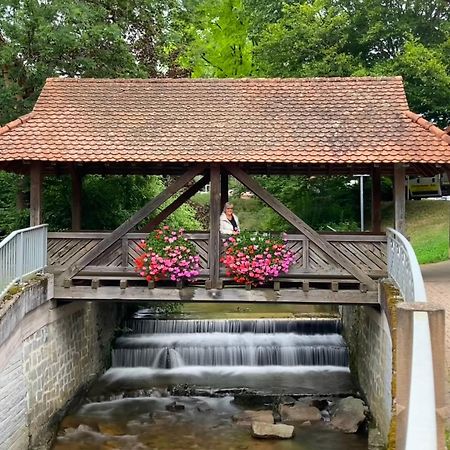 Ferienwohnung Haffner Kandern Exteriör bild